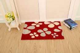 Modern door mat zj001